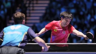 这些因素共 这些因素共