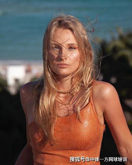 可惜为时已 可惜为时已